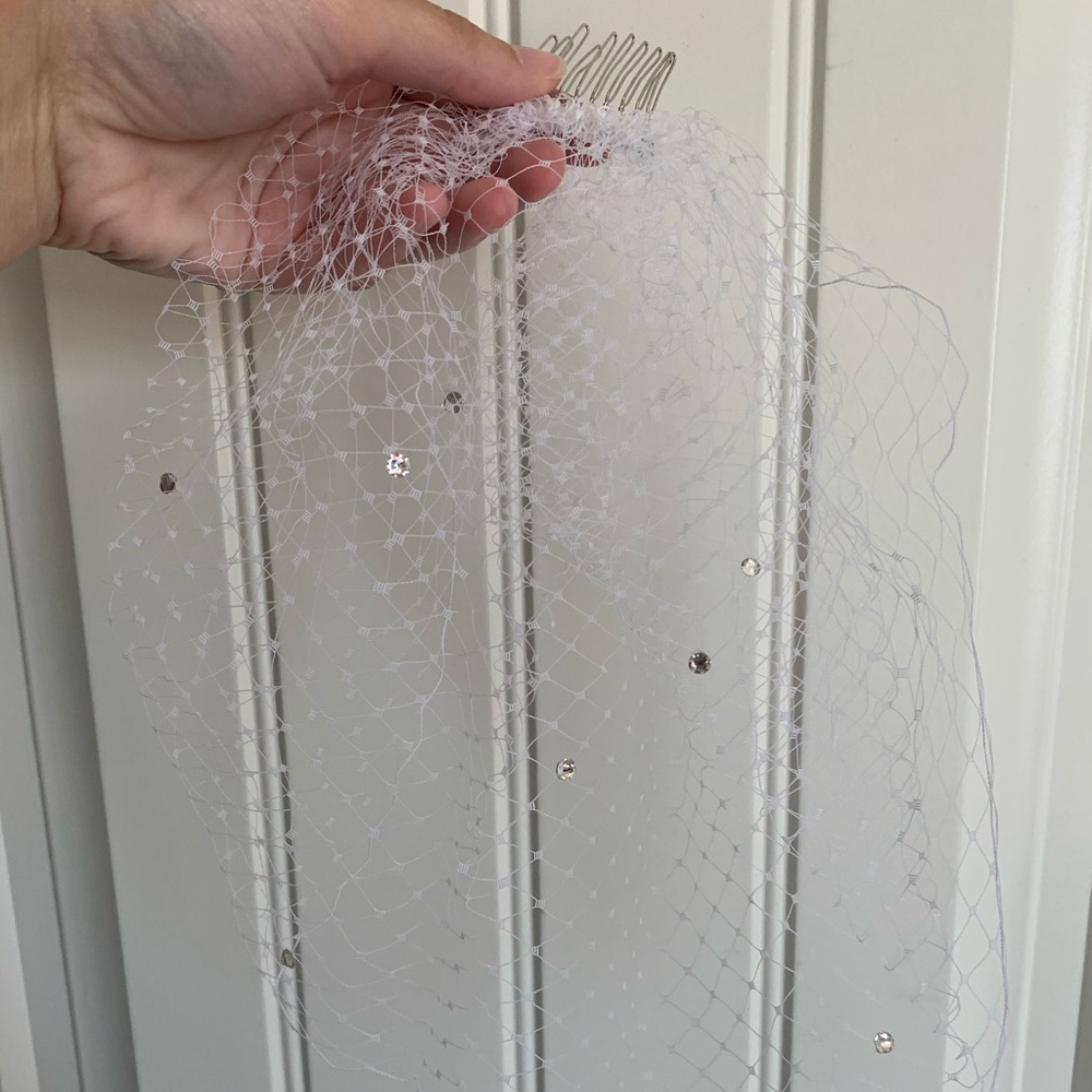 Birdcage veil